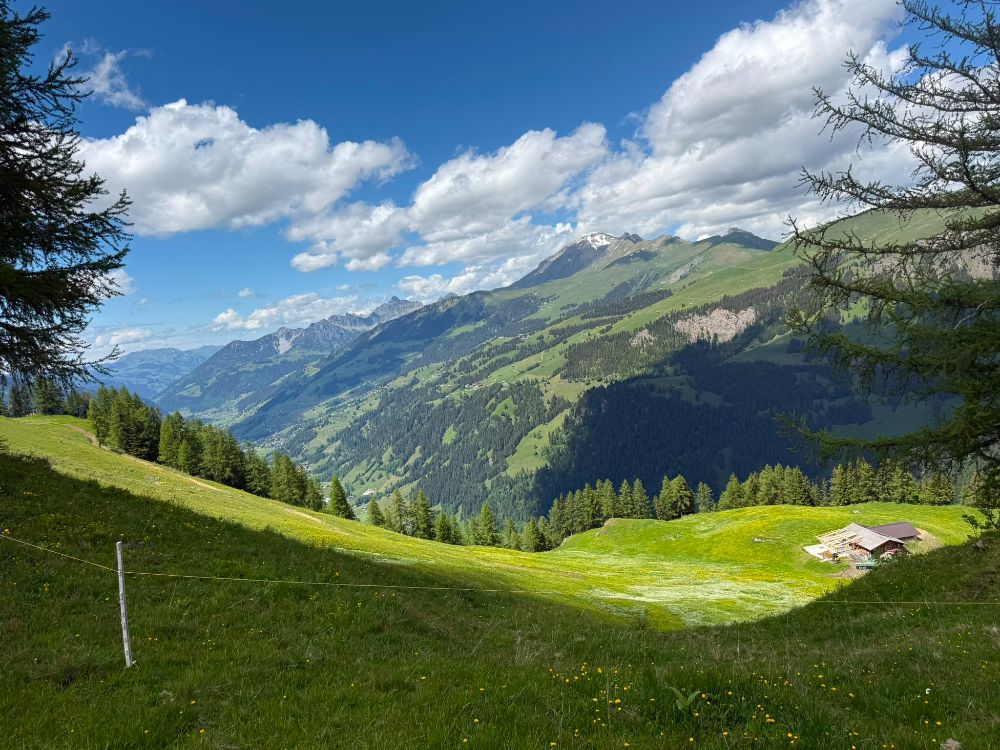 Bild%206